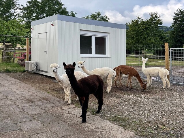 Bürocontainer Standart Aufenthaltscontainer Standart